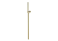 Newport Brass 280R-24A Single Function Hand Shower Set - French Gold