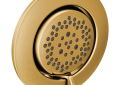 Moen® TS1422BG Body Spray, Mosaic, 2 gpm Maximum, Domestic