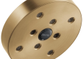 DELTA® RP70175CZ Single-Setting Raincan Shower Head, 2 gpm, 1 Sprays, Wall Mount, 5-13/32 in Dia Head, Import