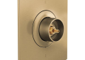 Brizo® T66T006-GLLHP 69 Series Valve Trim, Luxe Gold