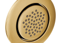 Moen® TS1322BG TS1322 Mosaic Spray, Number of Spray Type: 1, Wall Mount, Domestic