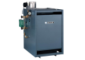 Weil McLain 118-651-300 EG-65-W PIDN Natural Gas Water Boiler with Vent Damper