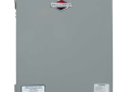 Ruud TS509C 50 Amp Generator Transfer Switch with 10 Circuit Panelboard