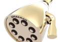 Speakman® S-2251-PB Icon™ Multi-Function Shower Head, 2.5 gpm Min, 3 Sprays, Wall Mount, 3-5/8 in Head, Import