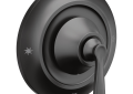 Moen® M-Pact™ Posi-Temp® TS44201BL Valve Only Trim, Matte Black