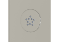 ROHL 24960PN Single Function Body Spray - Polished Nickel