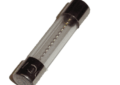 Fujitsu 0600384029 Halcyon 10 Amp Fuse