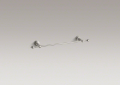 Kohler 6816-BN Accessories