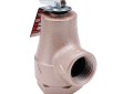 Watts 374A 0358553 3/4 inch Female x 3/4 inch Female 30 PSI Iron Body Pressure Relief Valve