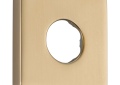 DELTA® RP51034CZ Shower Flange, Import