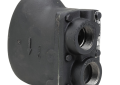 Watts WFT-30 0037110 1 inch Female Cast Iron Body 30 PSI Float and Thermostatic Steam Trap