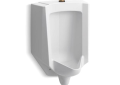Kohler® 4991-ETSS-0 Bardon™ High Efficiency Washdown Urinal, 0.125/1 gpf Flush Rate, Top Spud, Wall Mount, White