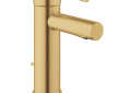 Grohe 32216GNA Essence New Single Hole Single-Handle S-Size Bathroom Faucet 1.2 GPM - Brushed Cool Sunrise