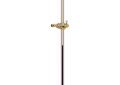 Perrin & Rowe U.5840EG Holborn Slide San Giovanni Shower, Gold, Import