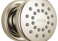 DELTA® 50102-PN Body Spray, (1) Full Spray, 2 gpm Maximum, Surface Mount, Import
